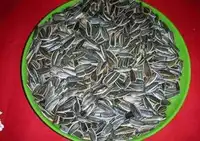 潘大姐精品炒货