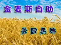 华凌金麦斯自助