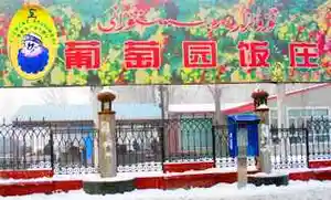 葡萄架下音乐餐厅