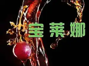 栖息于宝莱娜酒吧