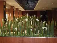 温得堡洗浴中心