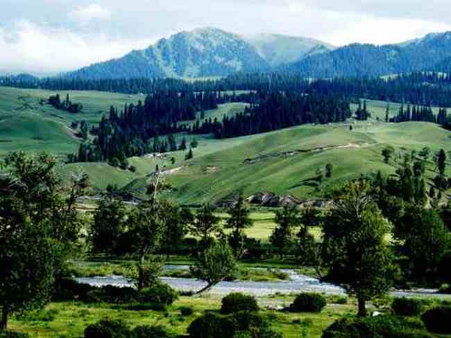 如痴如醉那拉提大草原,图二