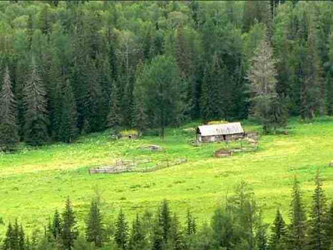 獨(dú)自享受喀納斯,圖五