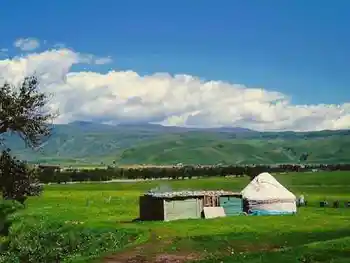 贯穿新疆：自驾八日游,图八