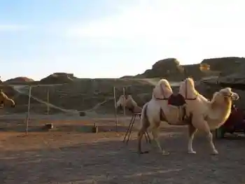 贯穿新疆：自驾八日游,图十四