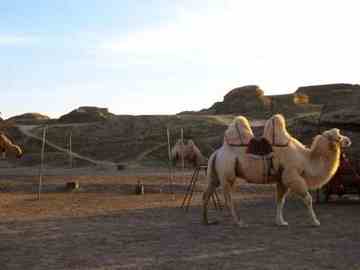 贯穿新疆:自驾八日游,图十四