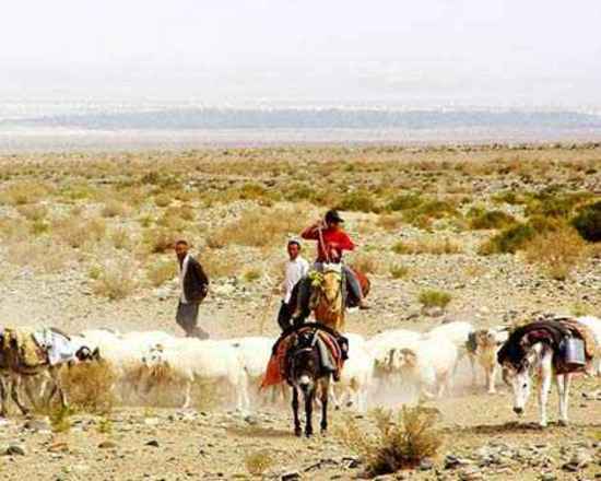 南疆7天经典自驾游在沙漠边缘画个圈,图五