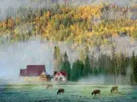 人间竟有如此仙境令人心驰神往的喀纳斯