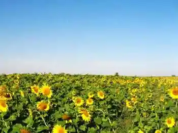 贯穿新疆：自驾八日游,图九