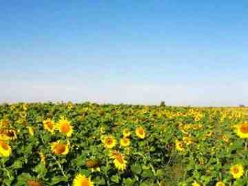 贯穿新疆:自驾八日游,图九