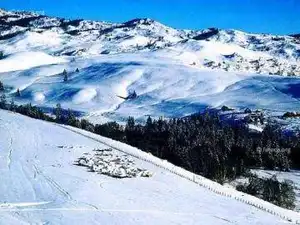 新疆的冬季别样的精彩！