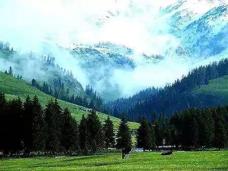 人间竟有如此仙境令人心驰神往的喀纳斯