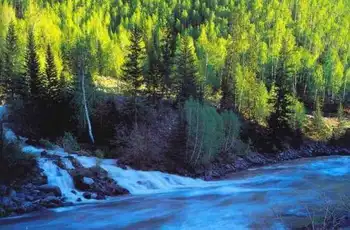 新疆和静县十大景点旅游攻略之四巩乃斯森林公园