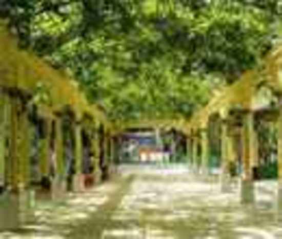 吐鲁番葡萄节：葡萄树下的狂欢,图二