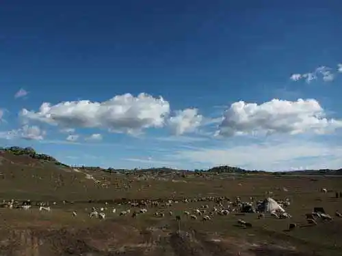 阿尔金:荒原上最后的壮美