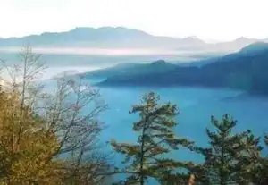 台湾行：阿里山森林旅游攻略