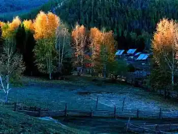 独自享受喀纳斯,图二