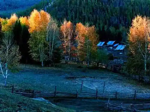 独自享受喀纳斯