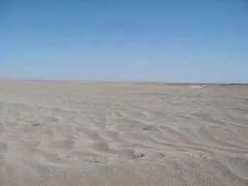 罗布泊漠游游梦想的下一站,图一