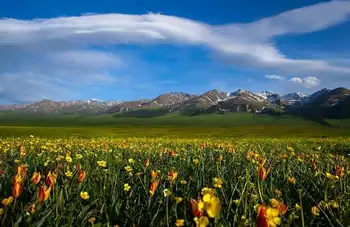 伊犁·那拉提草原,图十