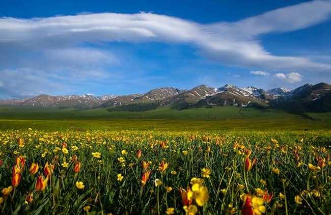 伊犁·那拉提草原,图十