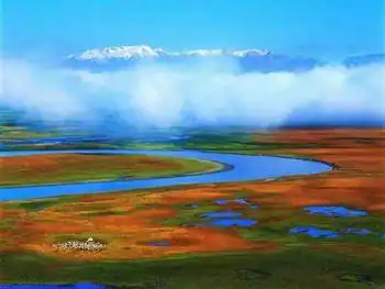 绝世惊艳！草原深处最美丽的天鹅湖,图一