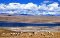 南疆7天经典自驾游在沙漠边缘画个圈