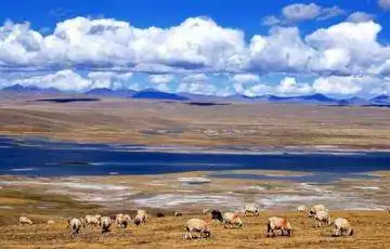 南疆7天经典自驾游在沙漠边缘画个圈