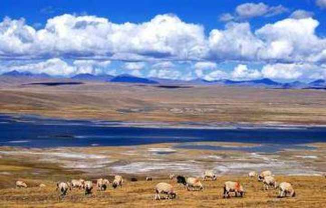 南疆7天经典自驾游在沙漠边缘画个圈,图一