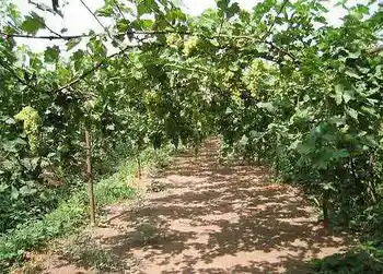 罗布泊穿越经过人间炼狱发现世外桃源,图十九