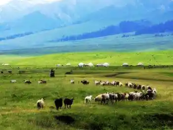 贯穿新疆：自驾八日游,图七