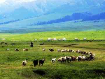贯穿新疆:自驾八日游,图七