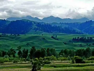 如痴如醉那拉提大草原