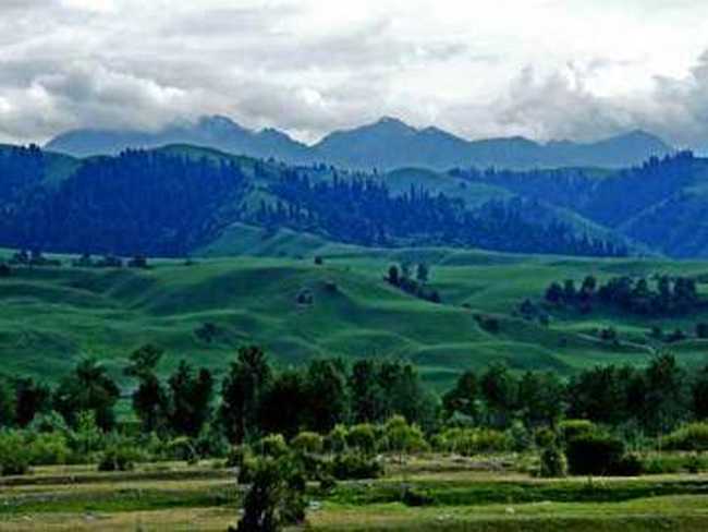 如痴如醉那拉提大草原,图一