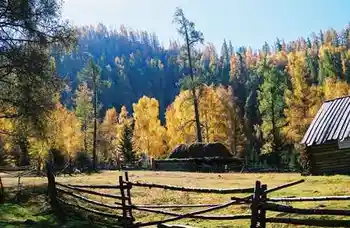 人间竟有如此仙境令人心驰神往的喀纳斯,图六