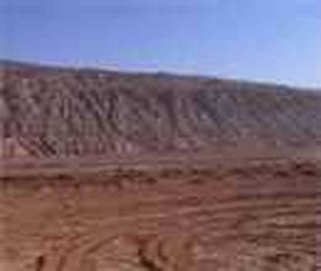 吐鲁番葡萄节：葡萄树下的狂欢,图三