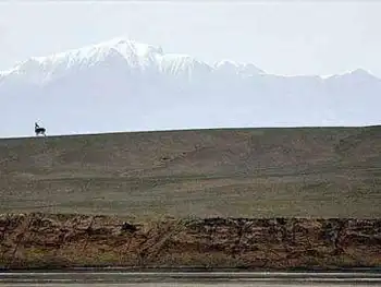 阿尔金：荒原上最后的壮美,图一