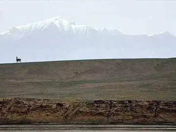 阿尔金:荒原上最后的壮美