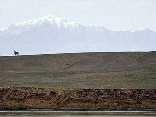 阿尔金：荒原上最后的壮美,图一