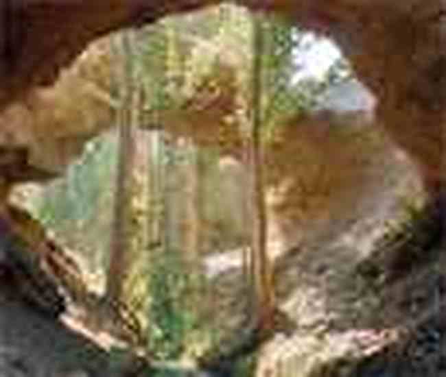 吐鲁番葡萄节：葡萄树下的狂欢,图五