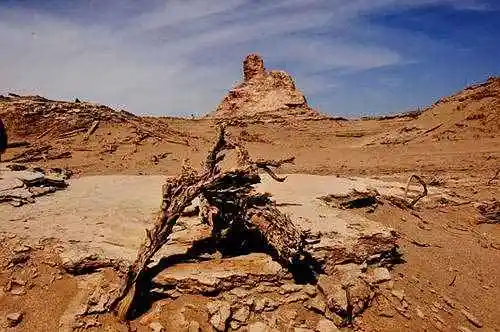 罗布泊穿越经过人间炼狱发现世外桃源