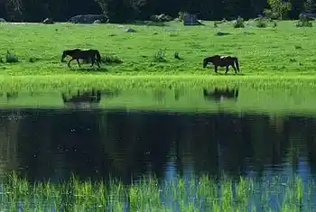 流浪是种浪漫徒步喀纳斯看路上最美风景,图十一