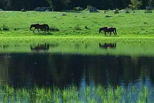 流浪是种浪漫徒步喀纳斯看路上最美风景