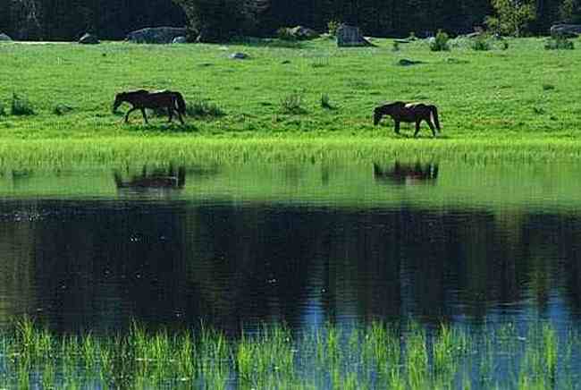 流浪是种浪漫徒步喀纳斯看路上最美风景,图十一