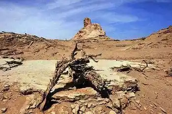 罗布泊穿越经过人间炼狱发现世外桃源,图十二