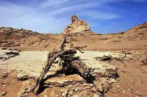 罗布泊穿越经过人间炼狱发现世外桃源