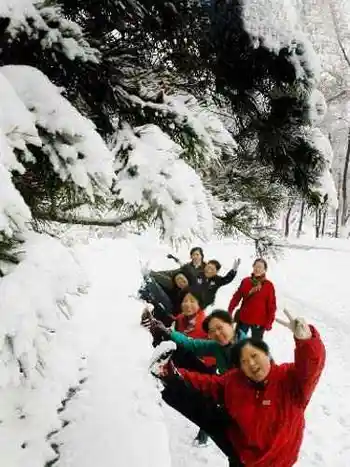 新疆的冬季别样的精彩！,图三