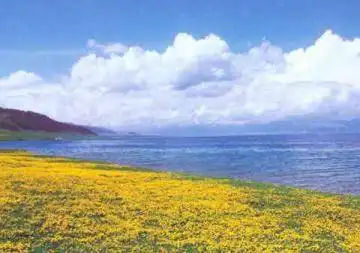 新疆旅游四个注意让你出游畅快