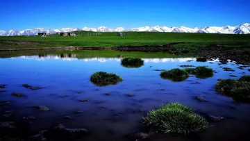 伊犁·那拉提草原,图三