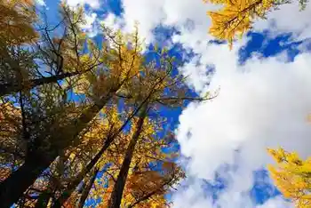 人间竟有如此仙境令人心驰神往的喀纳斯,图三